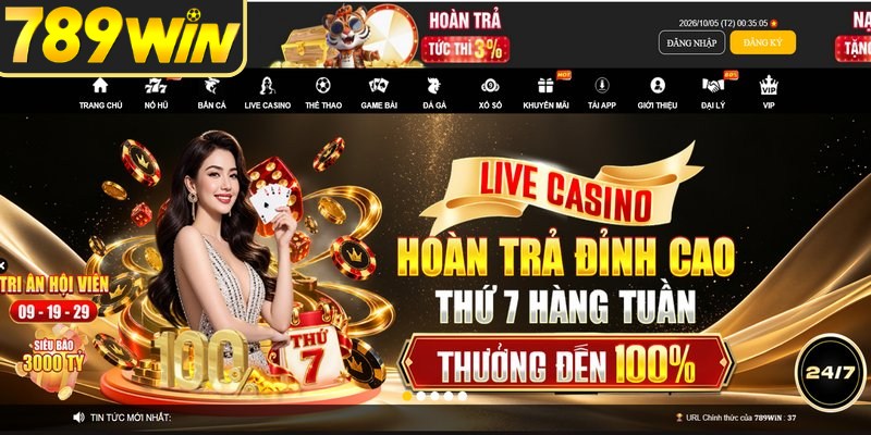 Giới thiệu 789WIN cùng quy mô hoạt động cá cược minh bạch