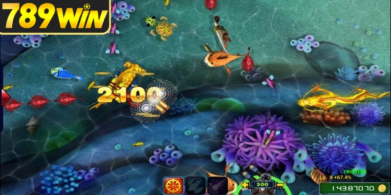 Kinh nghiệm kiểm soát ngân sách khi săn Jackpot đánh cá
